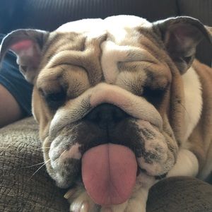 Meet your Posher, Justin